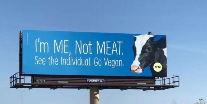 Analyze Some of PETA’s Most Powerful Ads With Our Executive Vice President