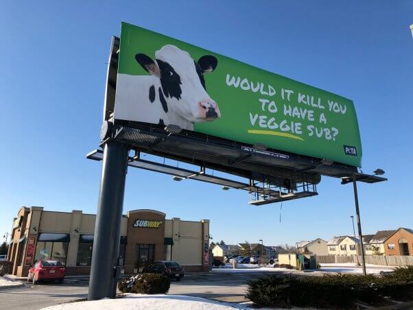 Veggie Sub Billboard in Columbus Ohio