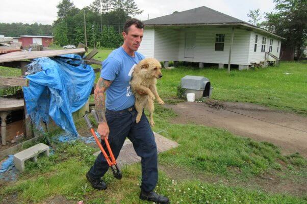 A CAP fieldworker helps a dog in need.