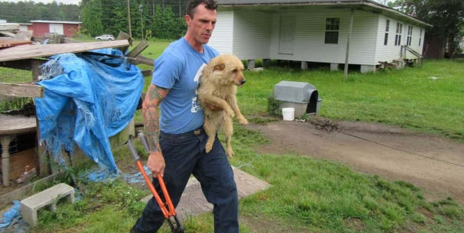 A CAP fieldworker helps a dog in need.