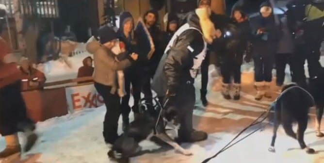 Oshi, a 5-year-old dog who competed in the Iditarod as part of musher Richie Beattie’s team, died from aspiration pneumonia.