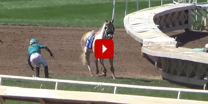 Horse Break Down at Santa Anita