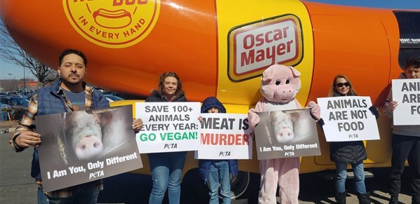 protestors at a wienermobile, take action for animals