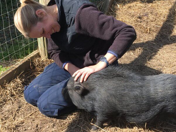 Woman with adorable black pot-bellied pig