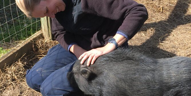 Woman with adorable black pot-bellied pig