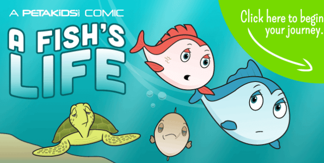 Fish Are Friends: Order ‘A Fish’s Life’ Comic Books for Your K–5 Classroom
