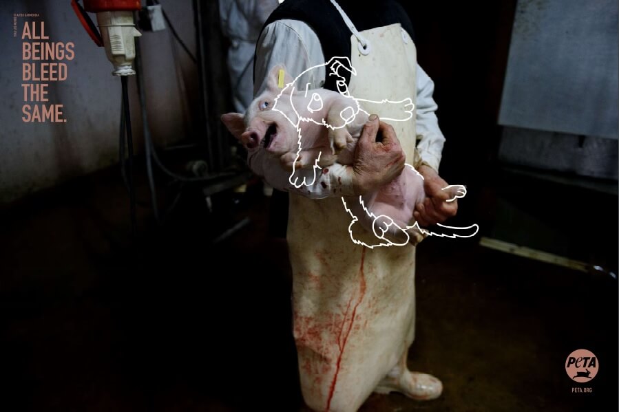 PETA Germany Ads