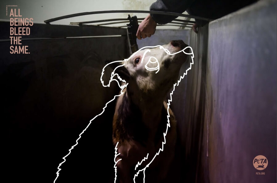 PETA Germany Ads
