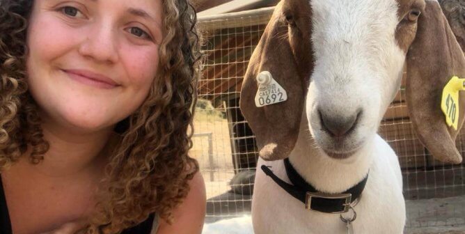 How a Goat Named Clyde Was Saved From the FFA