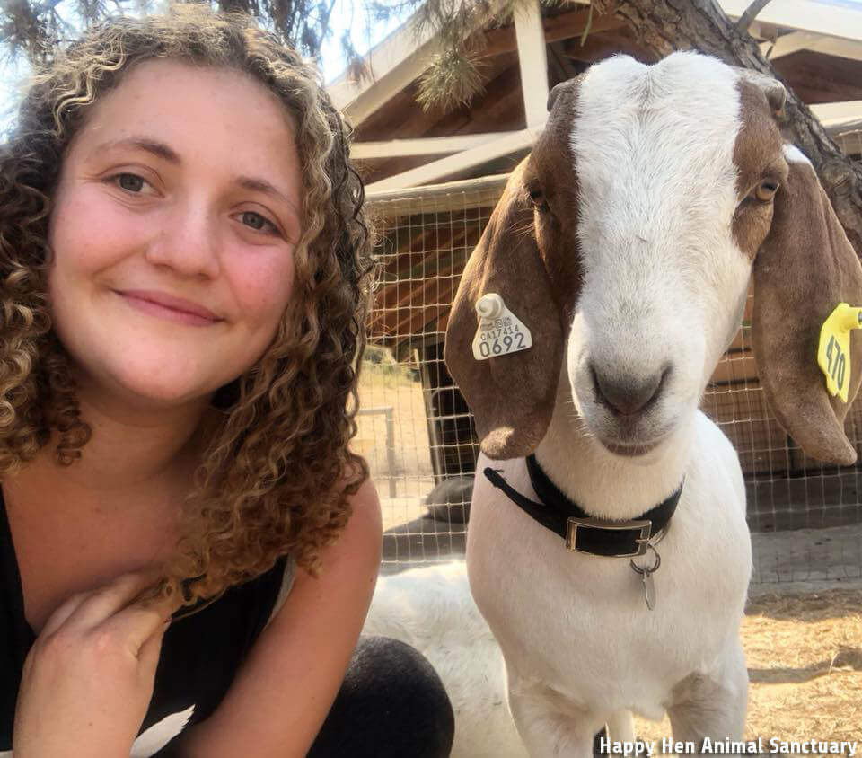 Goat, Zoe, ffa, rescue