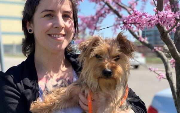 Rescued Yorkie mix Bella with human friend in front of flowering tree