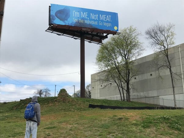 Im Me Not Meat Fish Billboard in Charlotte North Carolina