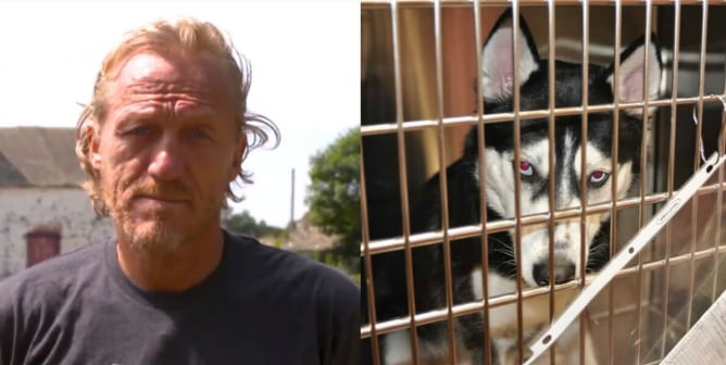 Jerome Flynn Husky Collage