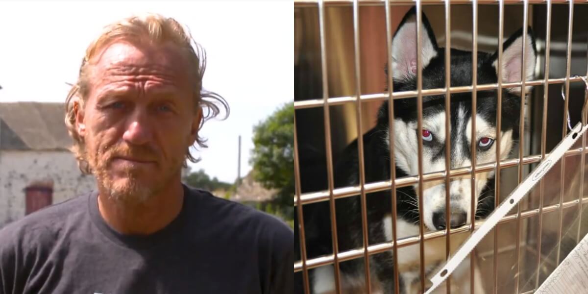 'Game of Thrones' Star Jerome Flynn Speaks Up for Huskies PETA