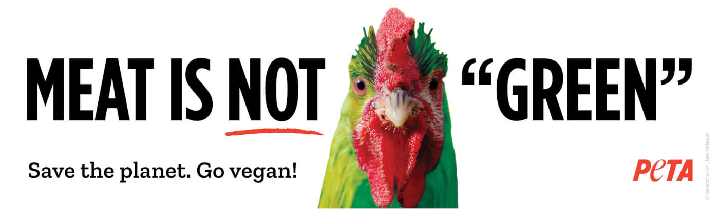 Meat is not Green Bus Billboard