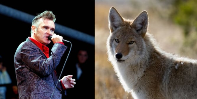 PETA Joins Morrissey on His Canadian Tour to Protest Canada Goose