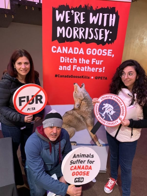 Morrissey Canada Tour Canada Goose