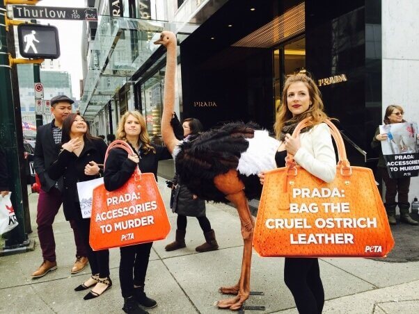 PETA demo at Prada Shareholder Meeting
