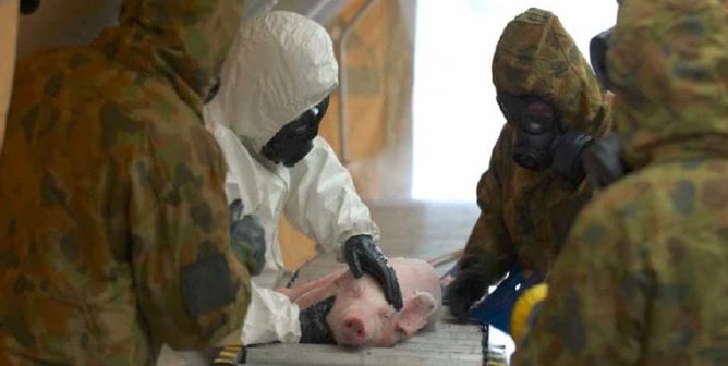 A group of anonymous people stand over a small pig on a grate. All of the people are wearing masks.