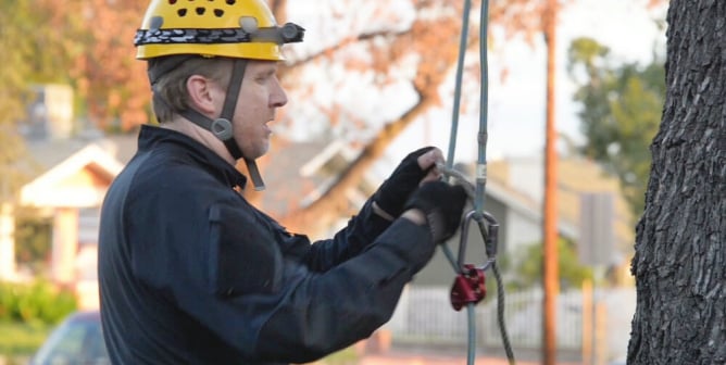 PETA's emergency response team