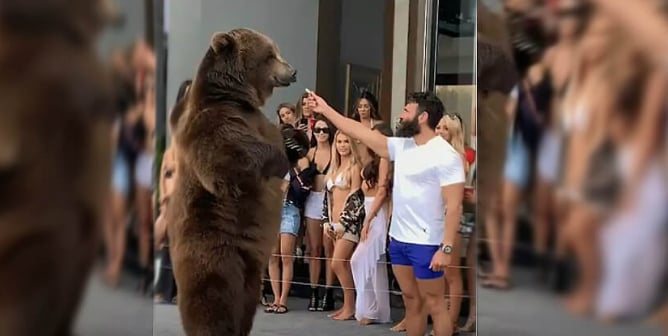 Instagram influencer Dan Bilzerian and a captive bear