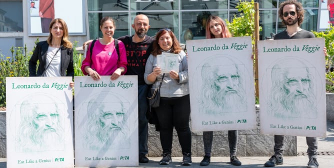 peta's "leonardo da veggie" campaign kicks off