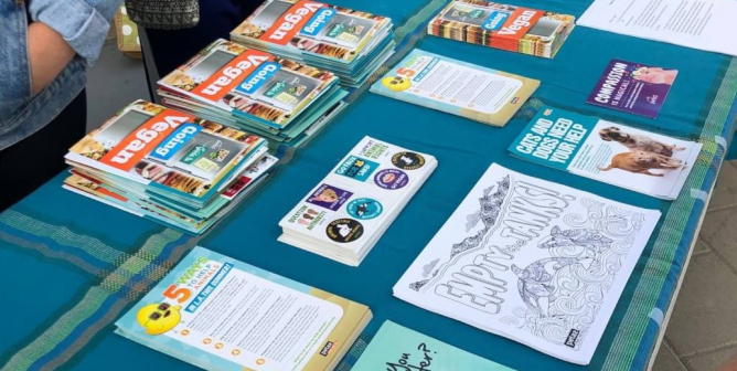 How to Table at Your School to Help Animals