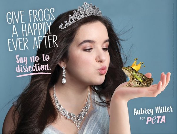 Aubrey Miller Anti Dissection Ad