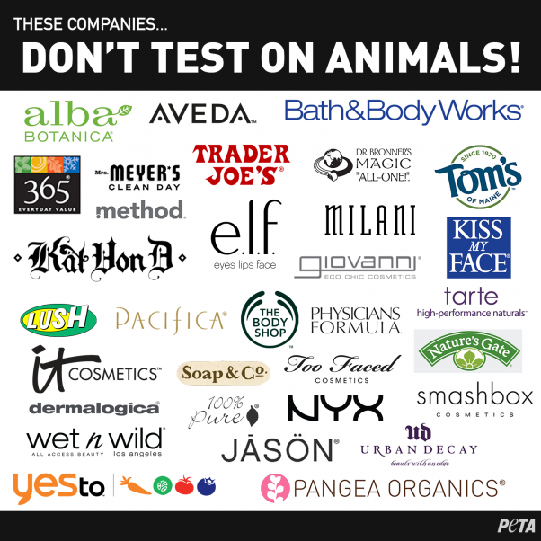 Cruelty Free Makeup: Companies that don't test on animals infographic