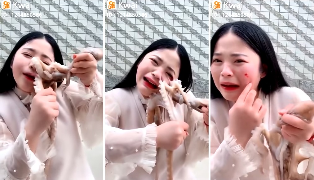 Vlogger Who Tried to Eat Live Octopus Receives Instant ...
