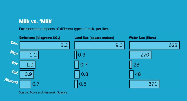 Climate Change, Eating Vegan