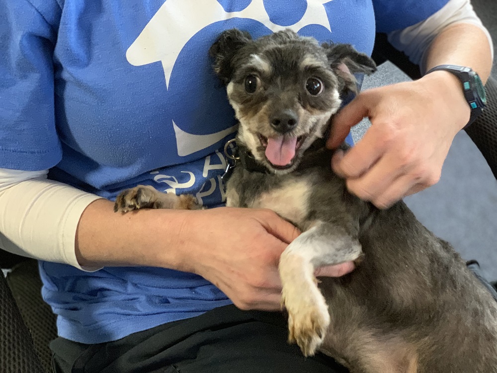 Murphy After PETA Rescued