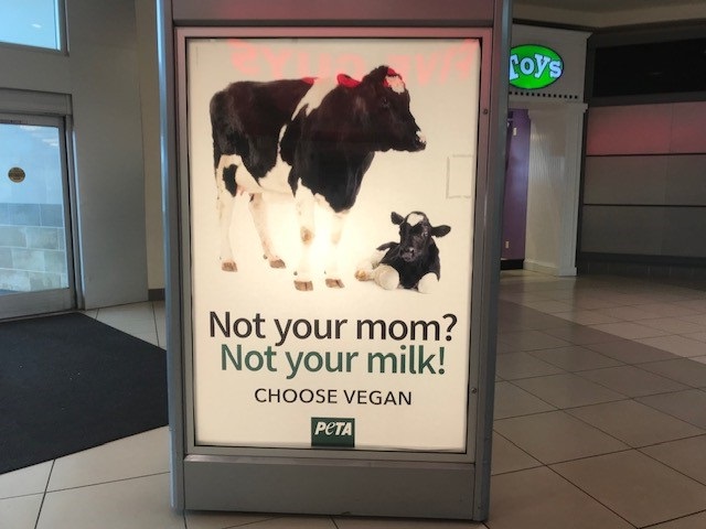 Not Your Mom Not Your Milk Cow Ad in Brookfield Square Mall