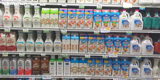 Dairy Free Milk Brands