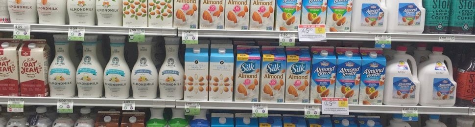 Dairy Free Milk Brands