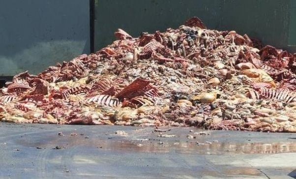 slaughterhouse remnants, animal bones, tendons, ligaments, gelatin