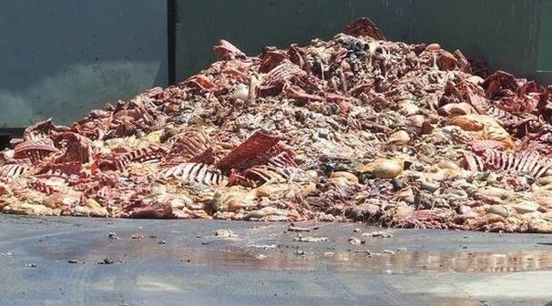 slaughterhouse remnants, animal bones, tendons, ligaments, gelatin