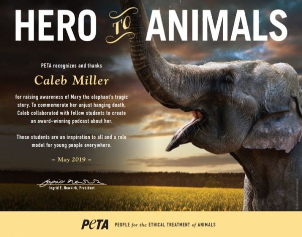 Hero to Animals Award