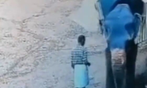 surveillance footage of an elephant and a human standing in a muddy field.