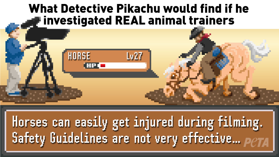 Detective Pikachu Investigates Hollywood's REAL Animal Trainers Detective Pikachu Investigates Hollywood's REAL Animal Trainers