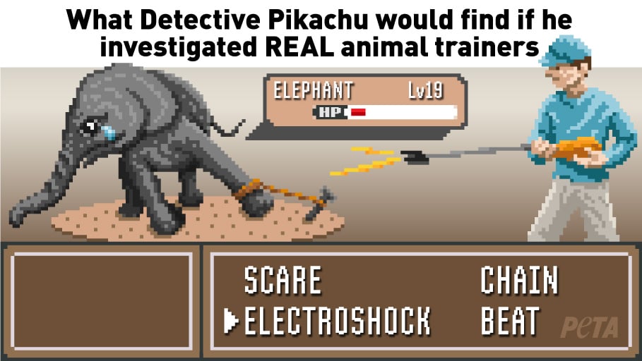 PETA parody detective pikachu investigates real animal trainers 2019