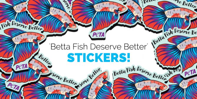 sticker banner fish peta