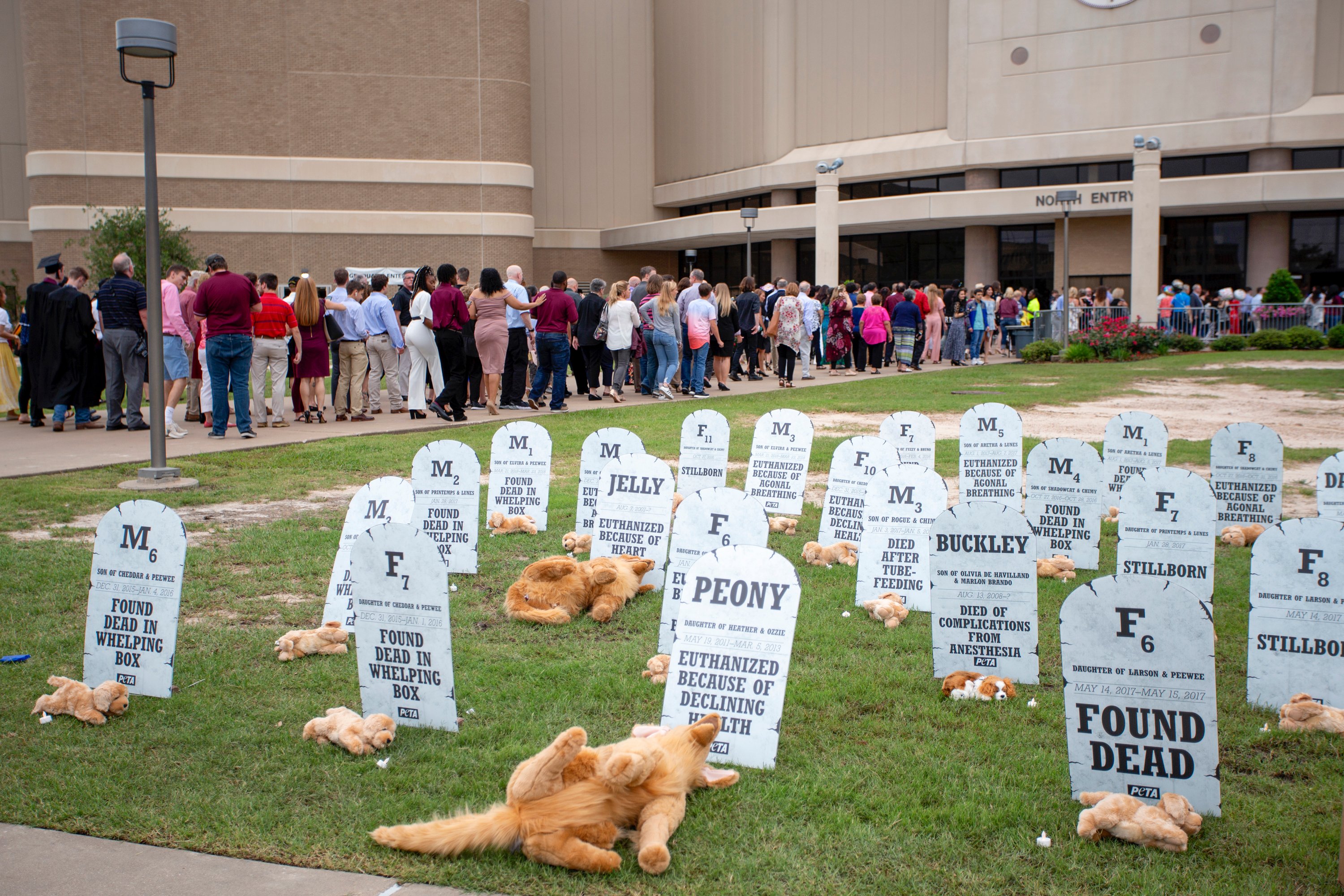 PETA pop-up dog graveyard at TAMU graduation ceremony 2019