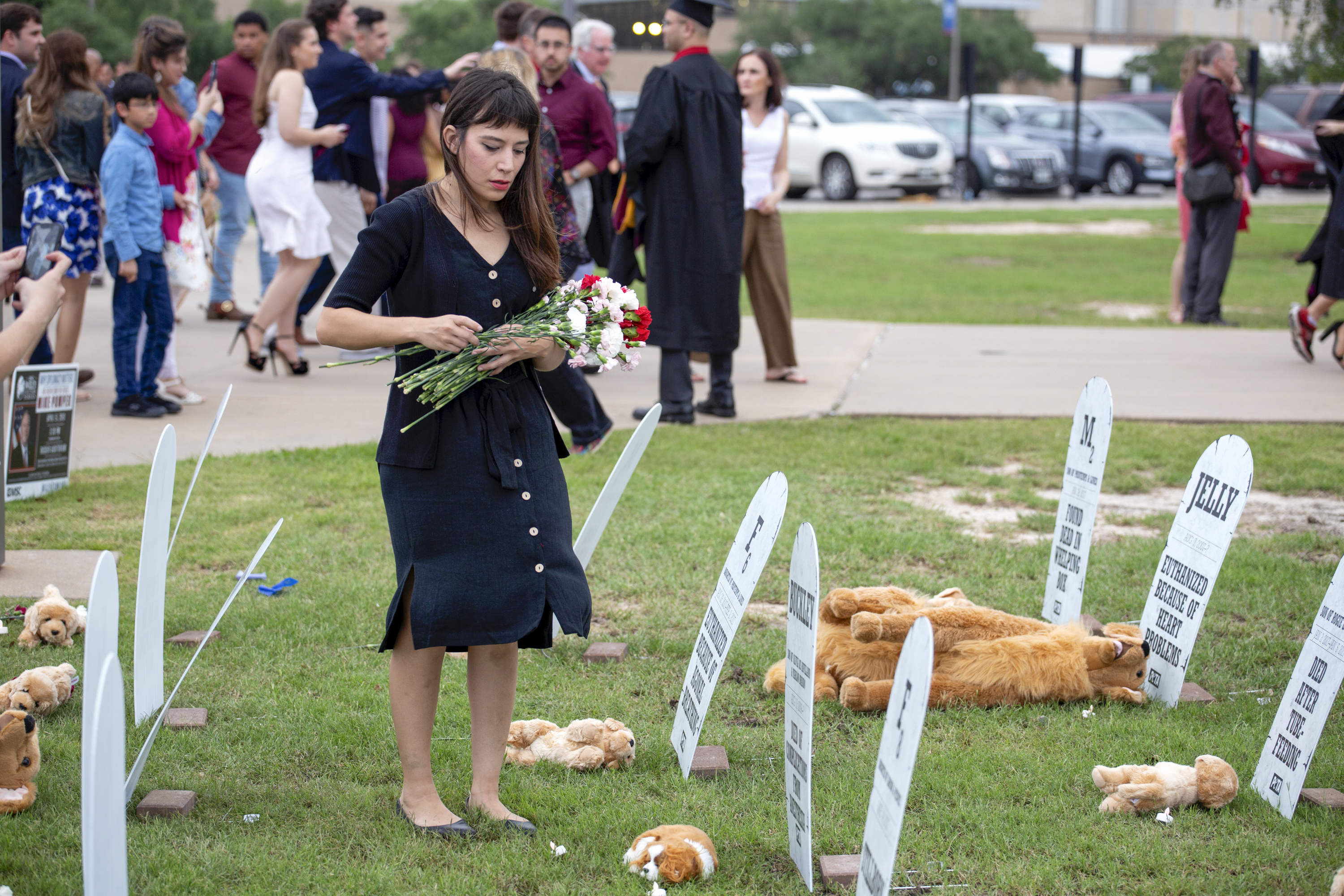 PETA pop-up dog graveyard at TAMU graduation ceremony 2019