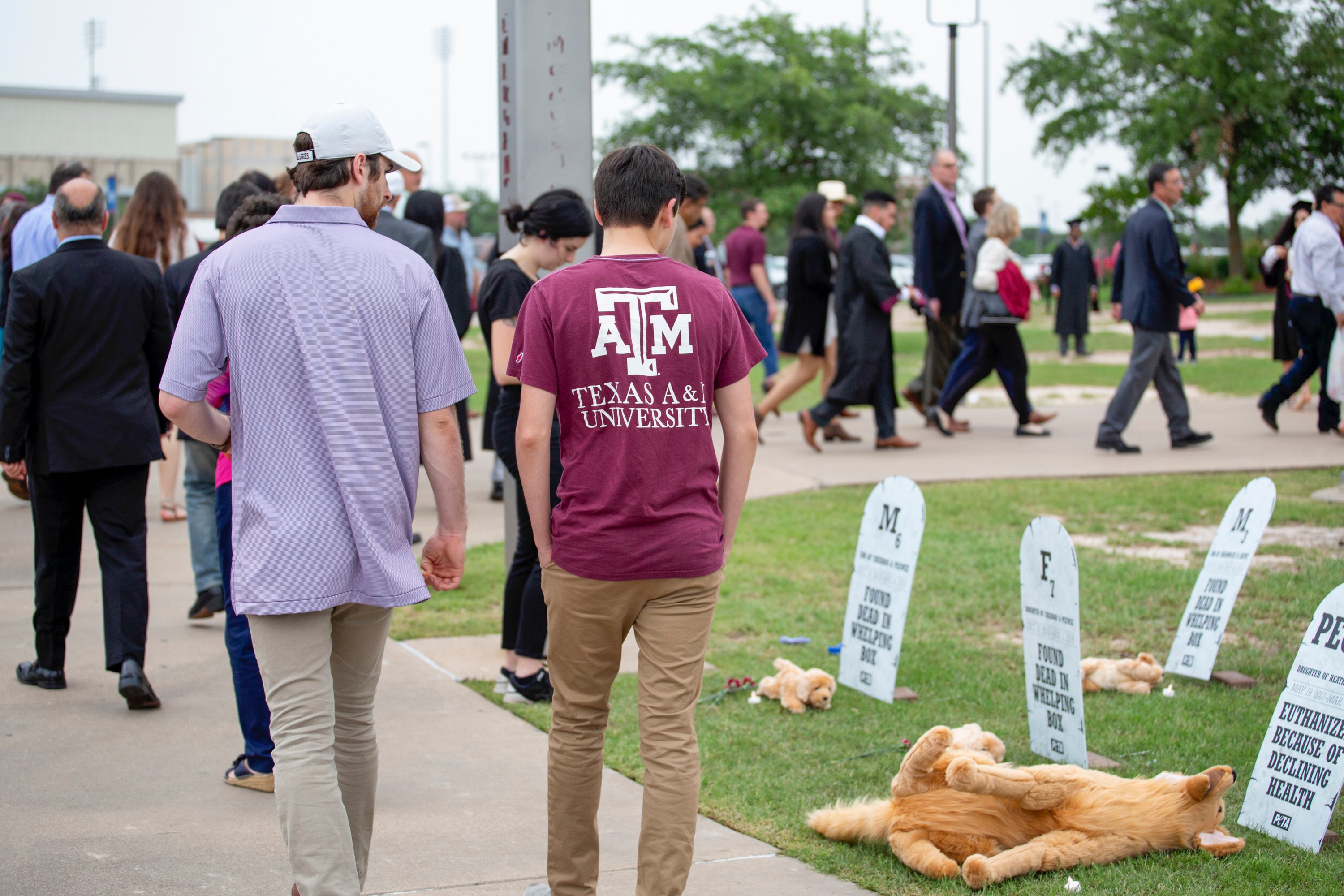 PETA pop-up dog graveyard at TAMU graduation ceremony 2019