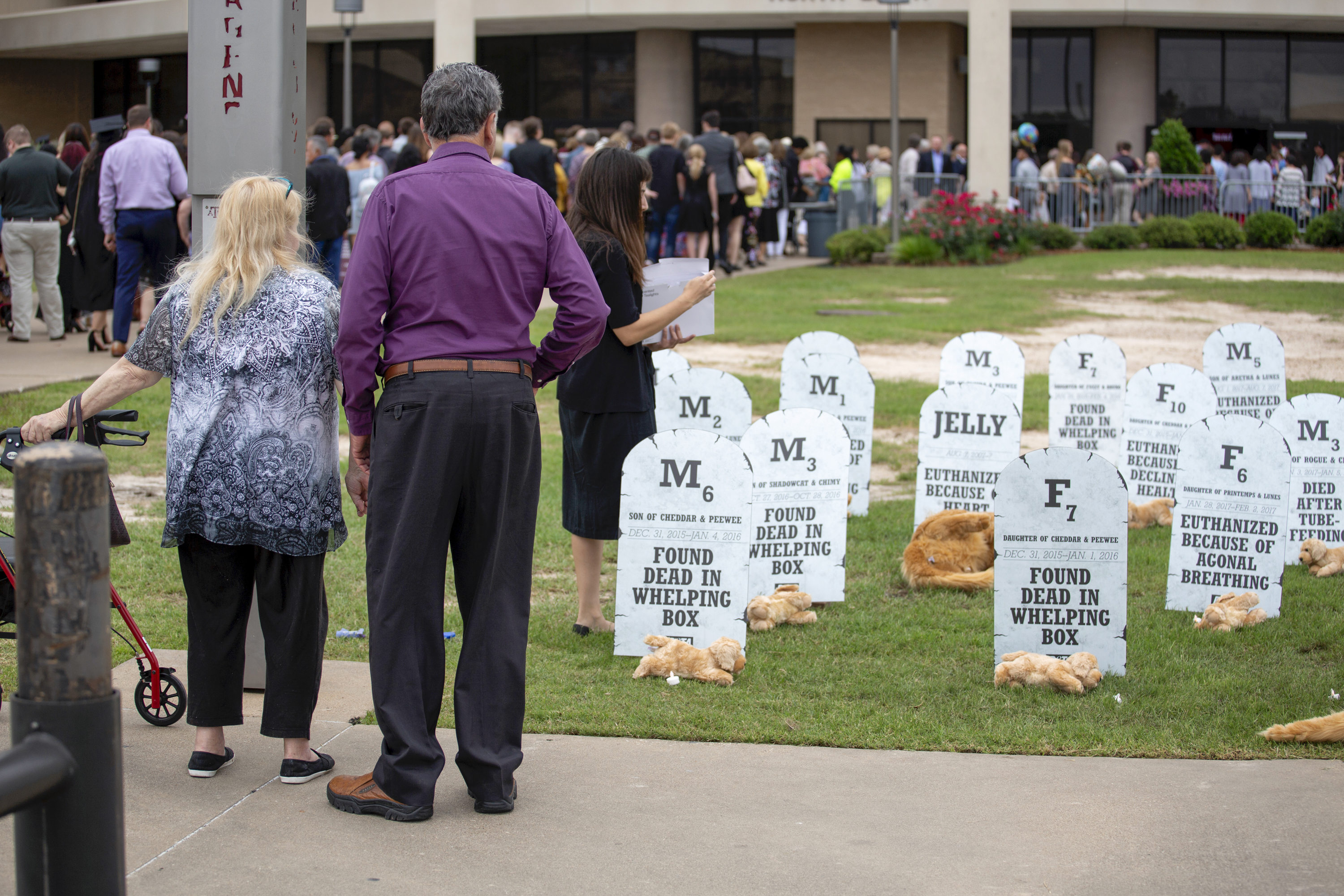 PETA pop-up dog graveyard at TAMU graduation ceremony 2019