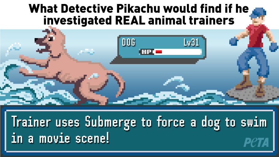 Detective Pikachu Investigates Hollywood's REAL Animal Trainers Detective Pikachu Investigates Hollywood's REAL Animal Trainers