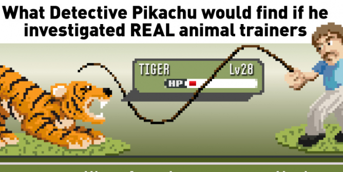 What Detective Pikachu Would Find If He Investigated REAL Animal Trainers