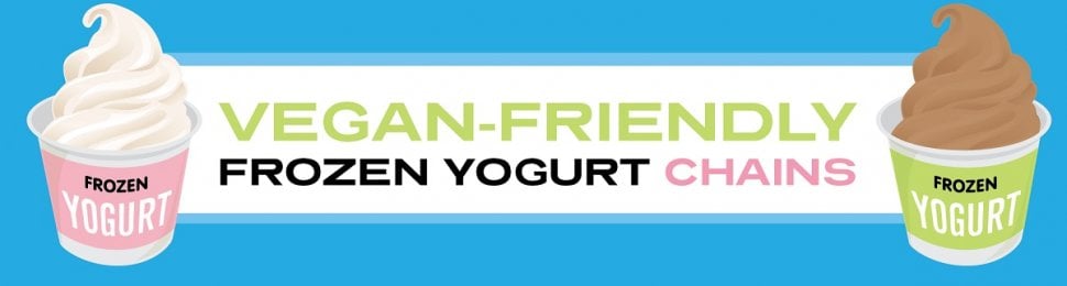 Vegan Frozen Yogurt