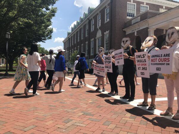 peta demo at johns hopkins university against experiments on owls